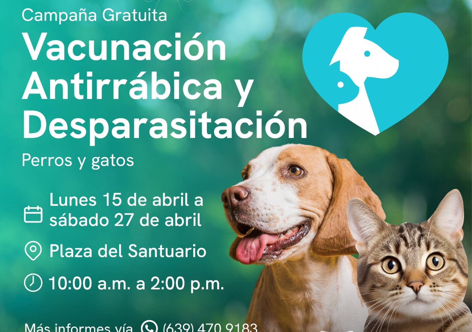 Comienza en Delicias campaña de vacunación antirrábica para perros y gatos